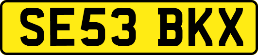 SE53BKX