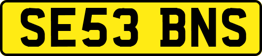 SE53BNS