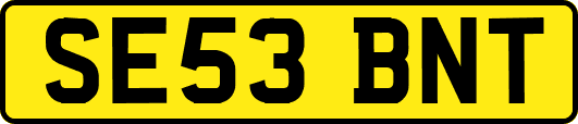 SE53BNT