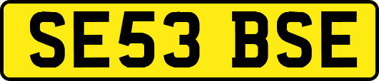 SE53BSE