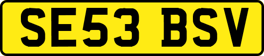 SE53BSV