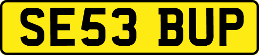 SE53BUP