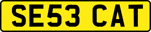 SE53CAT