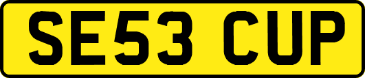 SE53CUP