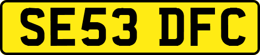 SE53DFC