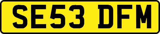 SE53DFM
