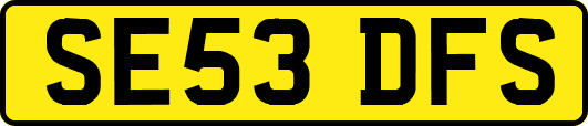 SE53DFS