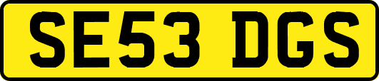 SE53DGS