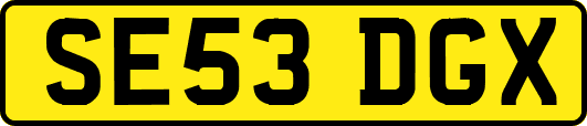 SE53DGX