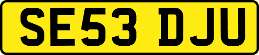 SE53DJU