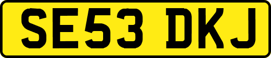 SE53DKJ