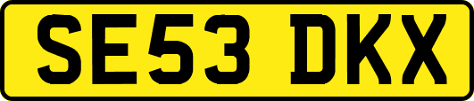 SE53DKX