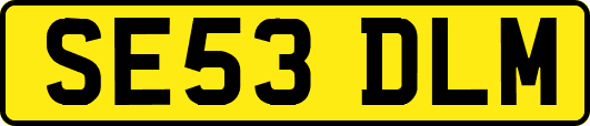SE53DLM