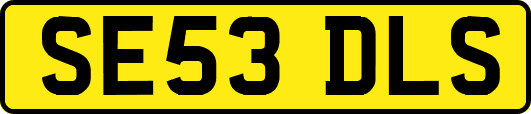 SE53DLS