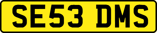 SE53DMS