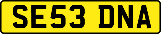 SE53DNA