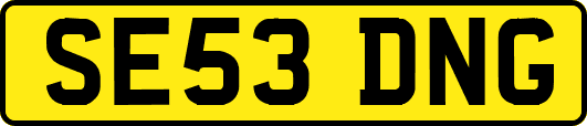 SE53DNG