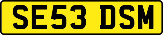 SE53DSM