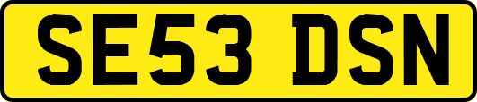 SE53DSN
