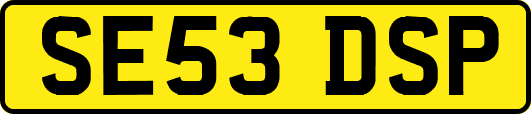 SE53DSP