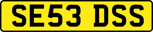 SE53DSS