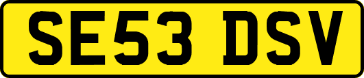 SE53DSV