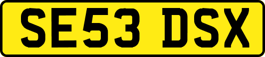 SE53DSX