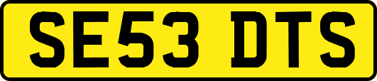 SE53DTS