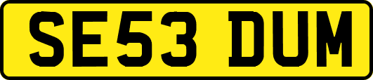 SE53DUM