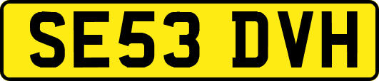 SE53DVH