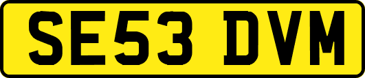 SE53DVM