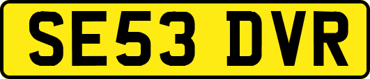 SE53DVR