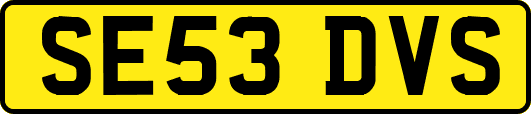 SE53DVS