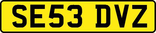 SE53DVZ