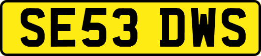 SE53DWS