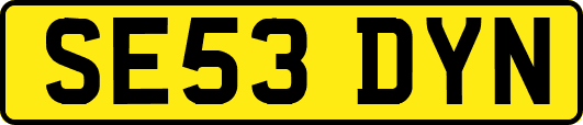 SE53DYN