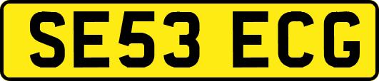 SE53ECG