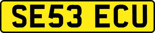 SE53ECU