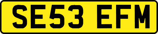 SE53EFM
