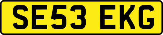 SE53EKG