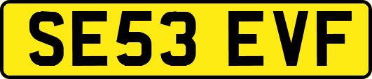 SE53EVF