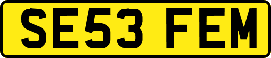 SE53FEM