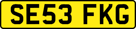 SE53FKG