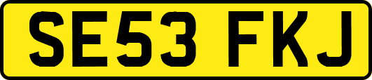 SE53FKJ