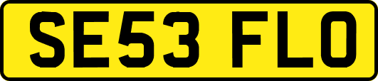 SE53FLO