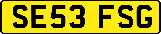SE53FSG