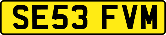 SE53FVM