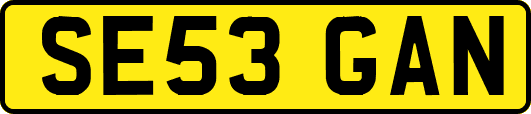 SE53GAN