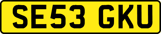 SE53GKU