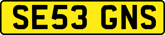 SE53GNS